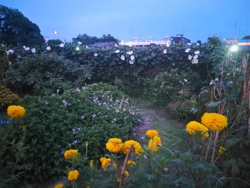 Baan Bussaba Hotel トラン エクステリア 写真
